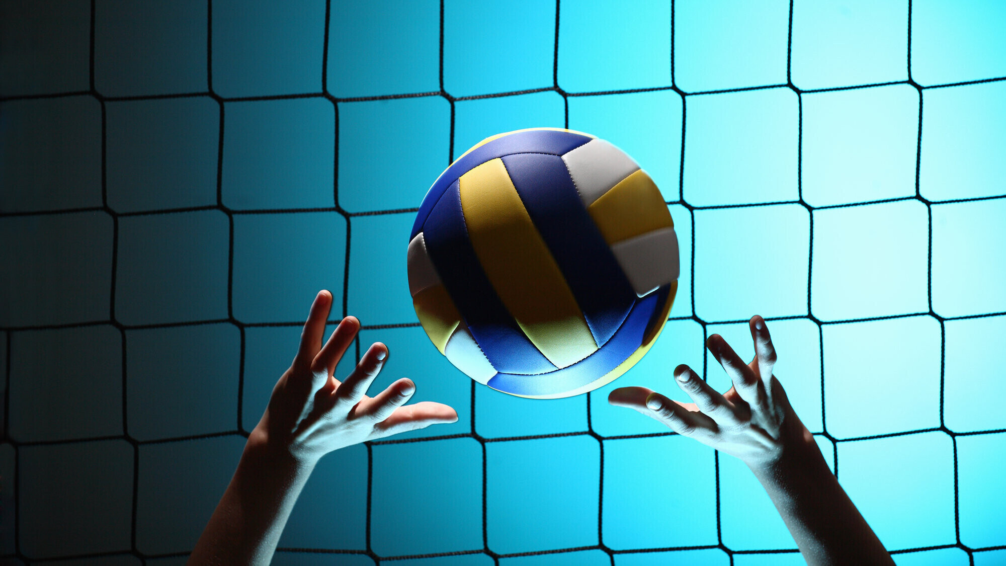 Experience the Thrill of Fantasy Volleyball with Dragonarcey.com